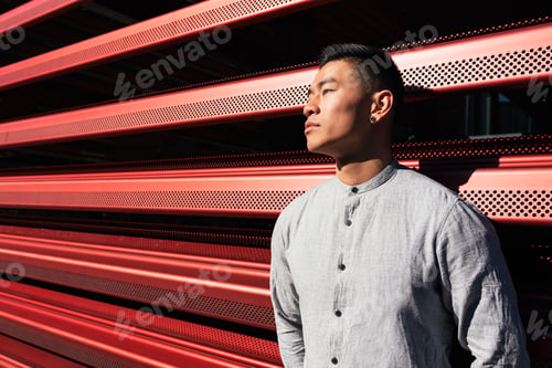 Preview: Portrait of handsome chinese young man.
