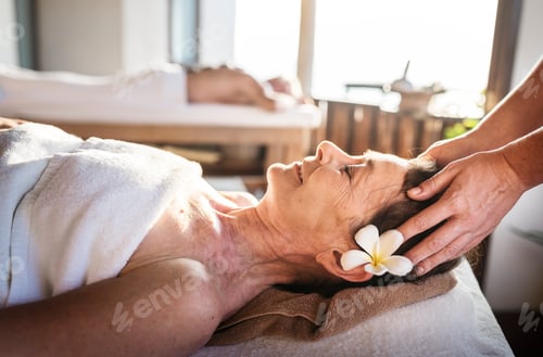 Preview: Massage therapist massaging at a spa