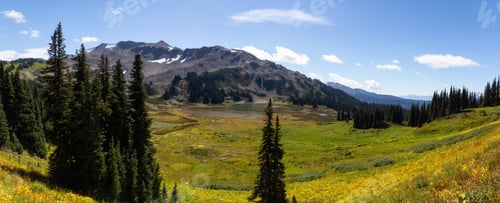Preview: Canadian Mountain Landscape. Garibaldi, BC. Nature Background