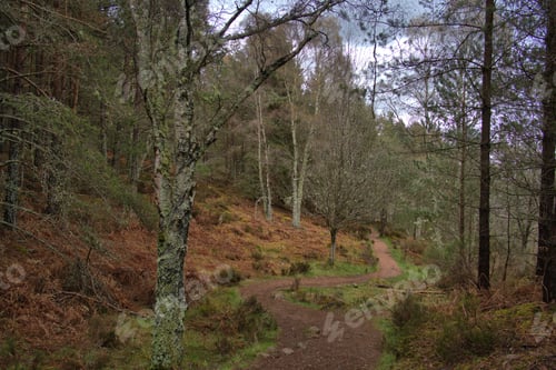 Preview: Burn O' Vat Park in Abohne, Scotland