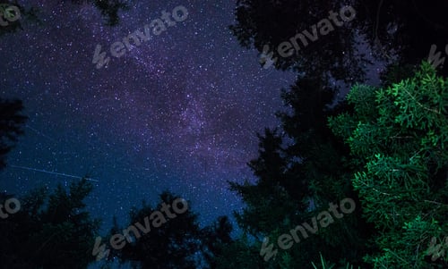 Preview: A Beautiful World in Pictures