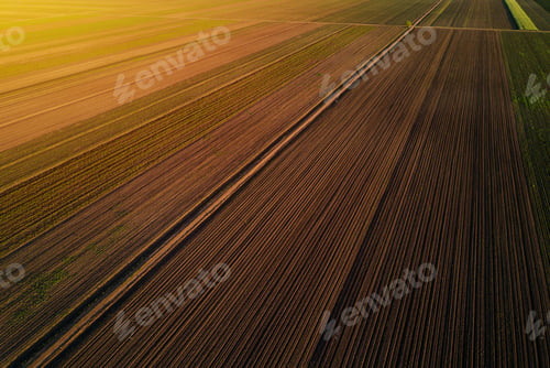 Preview: Aerial view of cultivated field in sunset