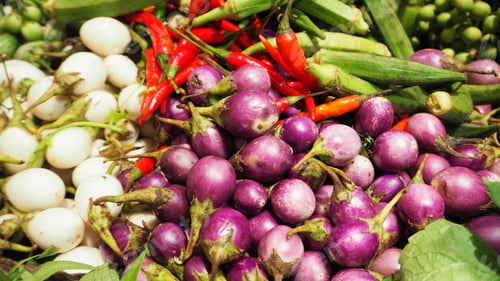 Preview: purple eggplant and sponge gourds andHot chilli