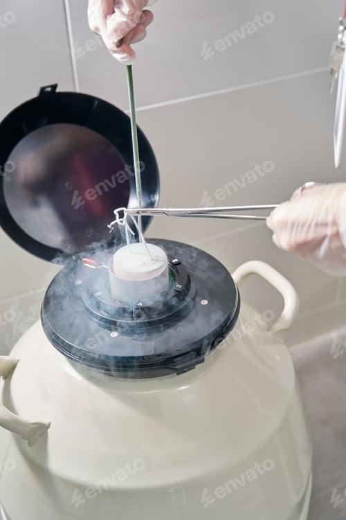 Preview: Doctor cryostorage puts biomaterial for vitrification into tank liquid nitrogen