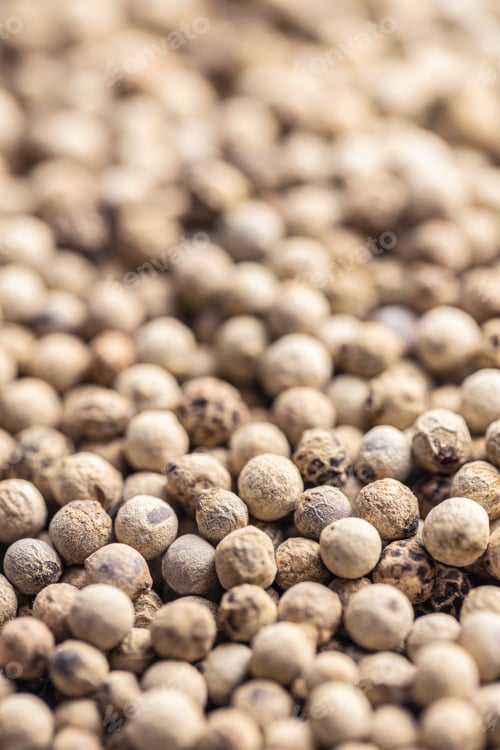 Preview: Whole pepper spice. White peppercorn grain