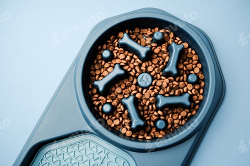 Preview: Pet food bowl with bone shapes and kibble on blue background