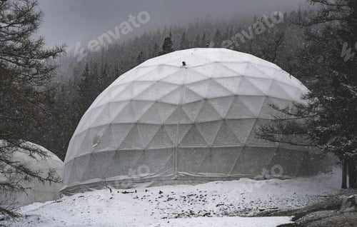 Preview: Geodesic domes in a winter forest