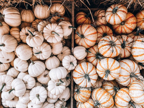 Preview: Pumpkins