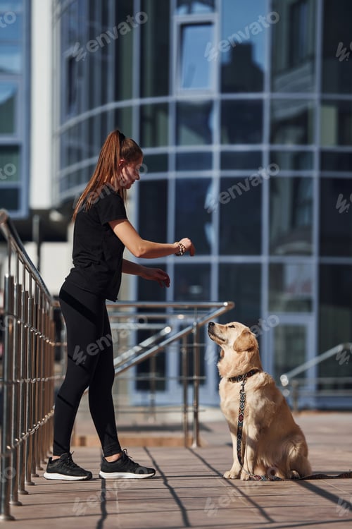 Preview: Young positive woman have fun and doing tricks with her dog when have a walk outdoors