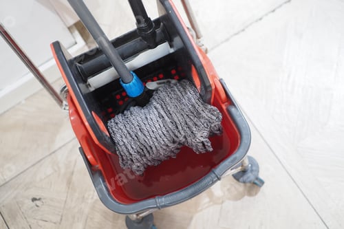 Preview: cleaning tiles floor with mop