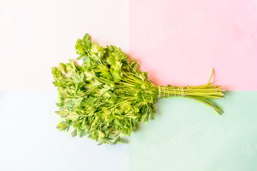 Preview: creative concept with parsley bunch with copy space design isolated with soft color background f