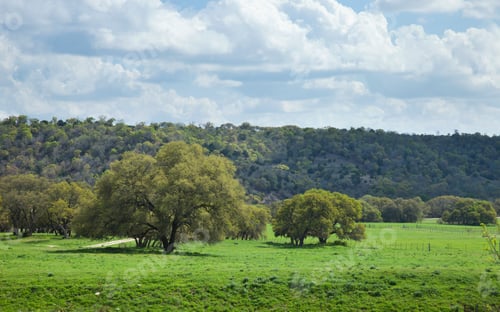 Preview: Trees Fields and Hills in the Texas Hill Country