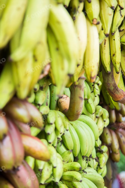 Preview: Bananas on market