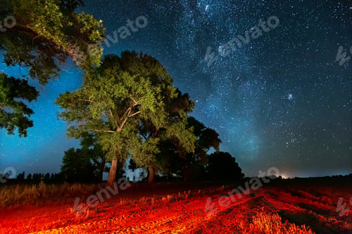 Preview: Milky Way Galaxy In Night Starry Sky Above Tree In Summer Forest. Glowing Stars Above Landscape