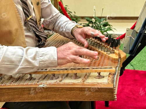 Preview: An unrecognizable musician plays soothing music on a Middle East string instrument in a hospital