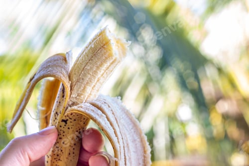 Preview: banana
