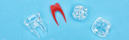 Preview: panoramic shot of silicone tooth model near red dental root and tooth fillings isolated on blue