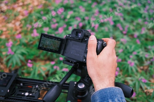Preview: Operator man. Camera filming nature, flowers with electronic slider.
