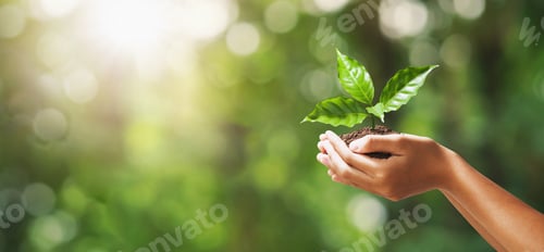 Preview: hand holding young plant on blur green nature background. concept eco earth day