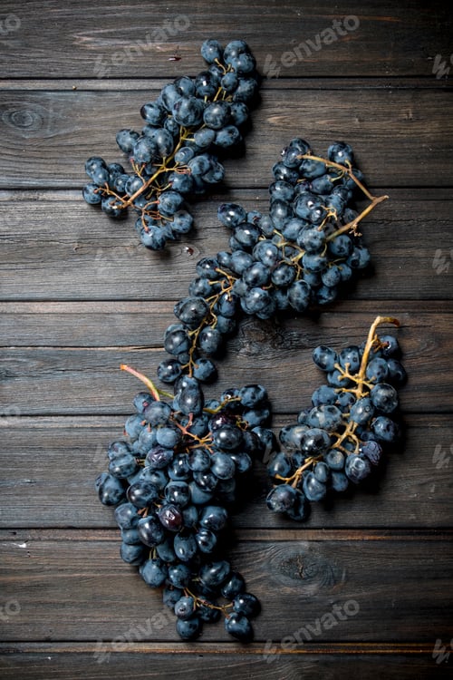 Preview: Ripe black grapes.
