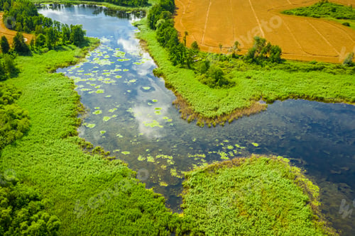 Preview: Amazing blue lake and green forest in summer, flying above