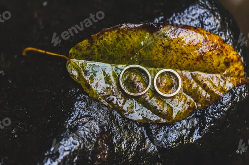 Preview: Wedding rings close-up on wet yellow autumn leaf texture