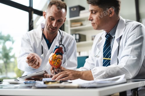 Preview: Doctor team shows a model of how the heart system works