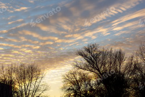 Preview: silhouette of bare tree branches in springtime with beautiful sunset and clouds