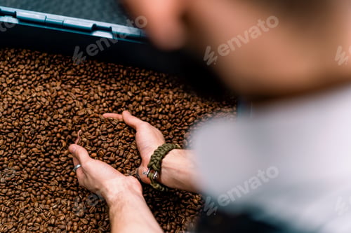 Preview: a worker looks at the coffee beans and checks the quality of the coffee after it is roasted