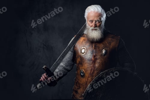 Preview: Glorious elderly crusader with shield and sword dressed in armor