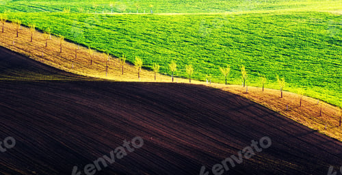 Preview: Green and brown waves of the agricultural fields