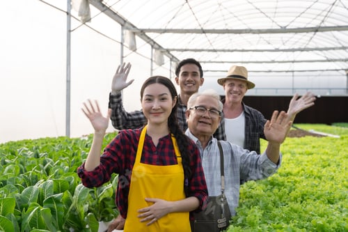 Preview: workers waving hand welcome gesture. Hydroponics greenhouse farm