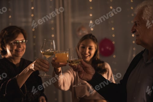 Visualização: Family Having A Toast