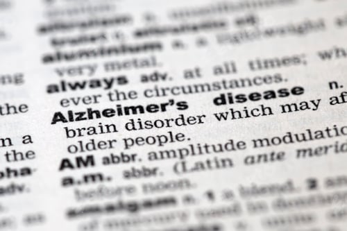 Preview: Dictionary details