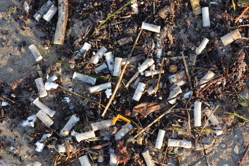 Preview: Beach pollution, washed up cigarette butts and bits of plastic, non-biodegradable rubbish