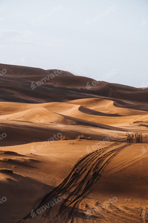 Preview: Sand texture in Morocco Sahara Merzouga Desert portrait oriented