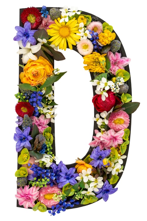Preview: Letter D made of real natural flowers and leaves on white background isolated.