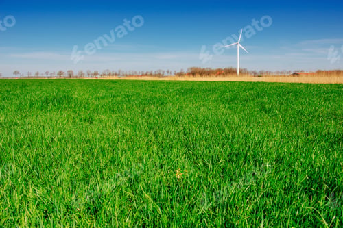 Preview: Close up of fresh thick grass