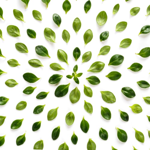 Preview: green leaves pattern from thyme