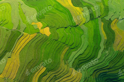 Preview: Paddy rice terraces, green agricultural fields in countryside of mountain hills valley, Vietnam.