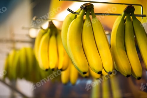 Preview: Bananas hanging for sale at the supermarket.