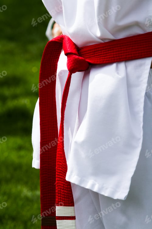Preview: Tae Kwon Do