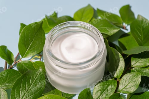 Preview: close up of opened jar with face cream on blue background with green leaves. Skincare natural cosmet