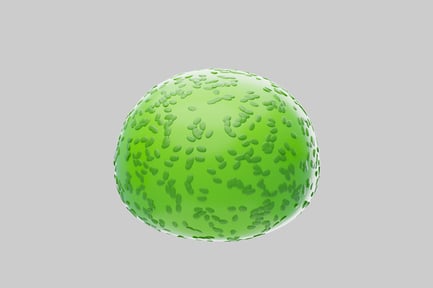 Visualização: Orbe semeado verde-limão