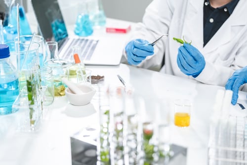 Preview: researcher working in laboratory for medicals science research using scientific equipment technology
