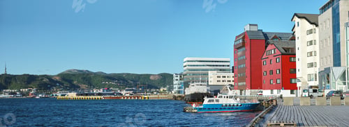 Preview: Bods harbour
