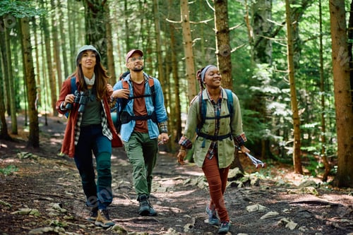 Preview: Group of young hikers walking through the woods.