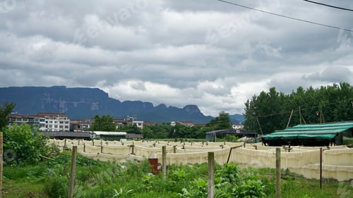 Preview: Small bakery farm on the background of buildings and mountains