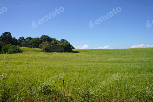 Preview: Country landscape near Bagnoregio, Lazio, Italy