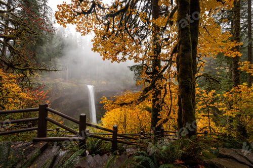 Preview: Stairway to autumn wonderland